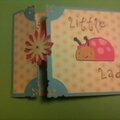 Little Lady Bug Birthday Card