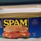 Upcycled Spam Can