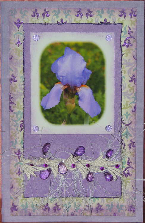 Iris birthday card