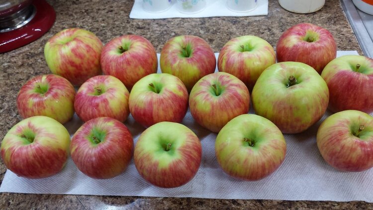 Honeycrisp Apples