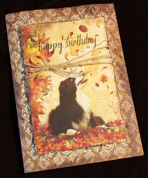 Birthday Card