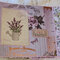 Lavender Mini Album (from Carri)