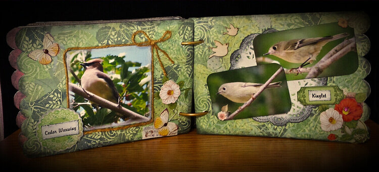 Feathered Friends Mini Album