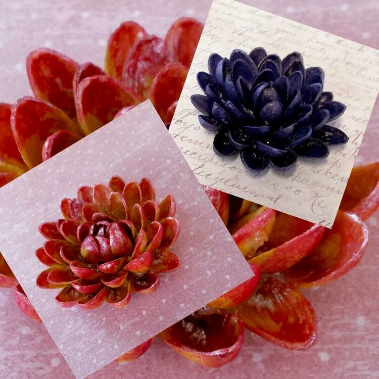 Pistachio Shell Flowers