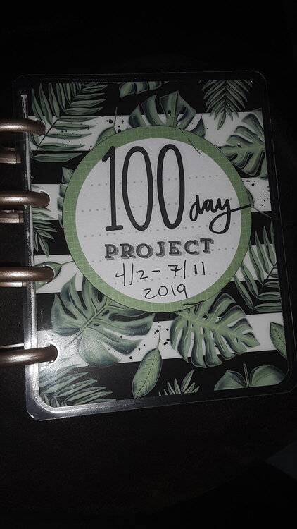 The 100 Day Project Cover