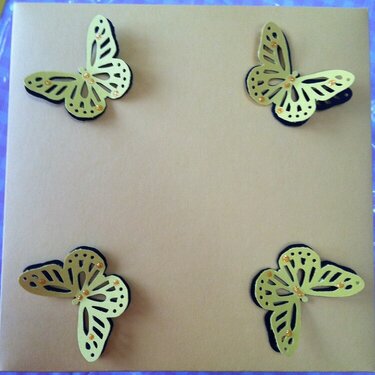Butterfly Box 2 (Top View)