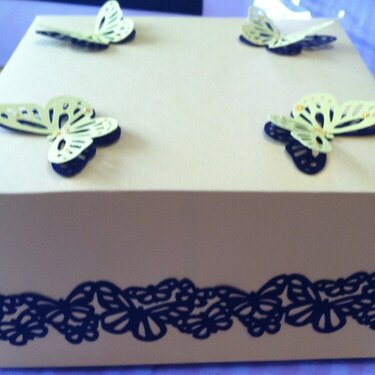 Butterfly Box 2 (Side View)