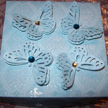 Butterfly Box (Top View)