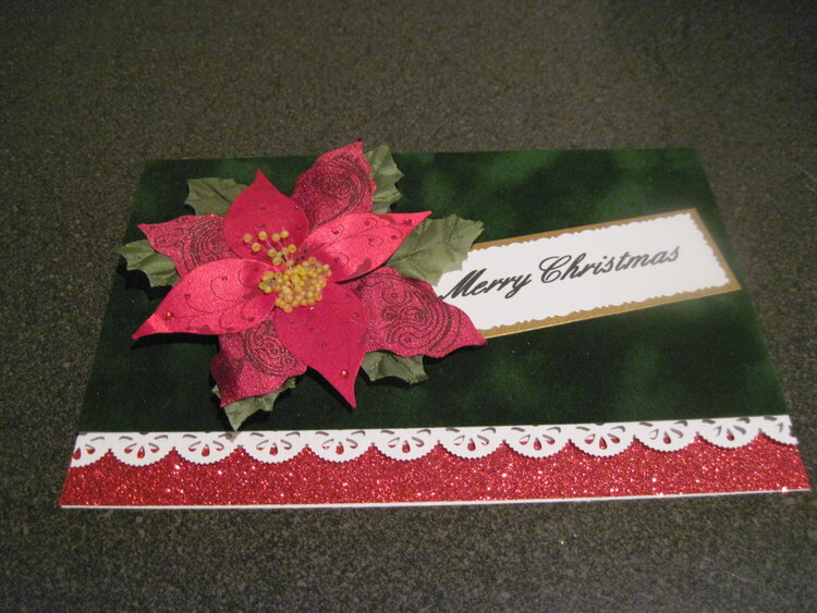2011 Christmas card