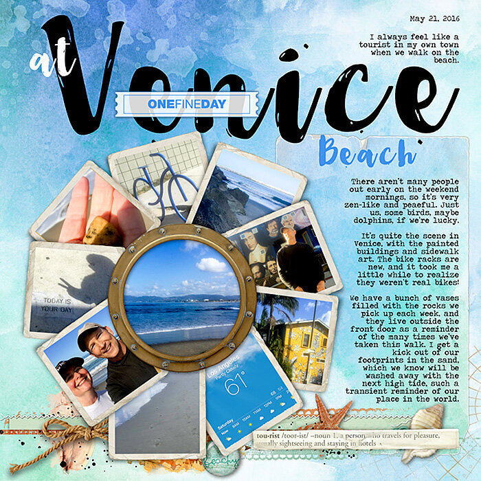 one fine day at Venice Beach