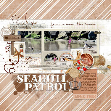 seagull patrol
