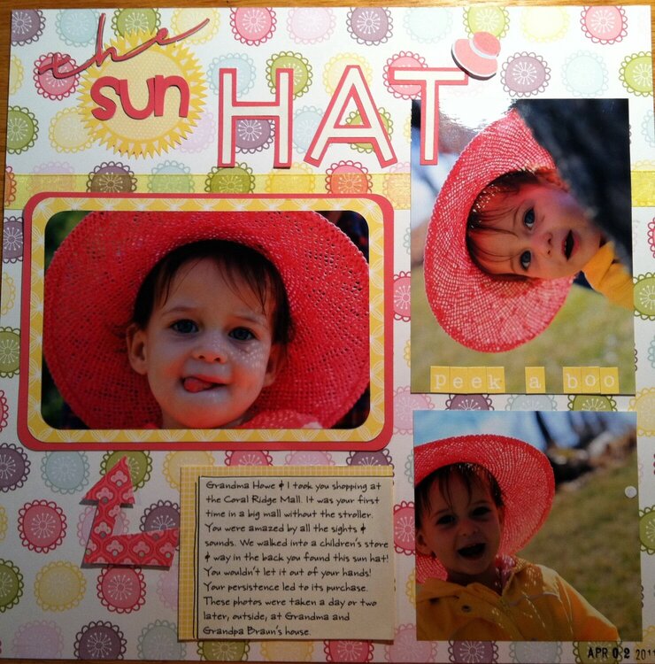 the sun hat