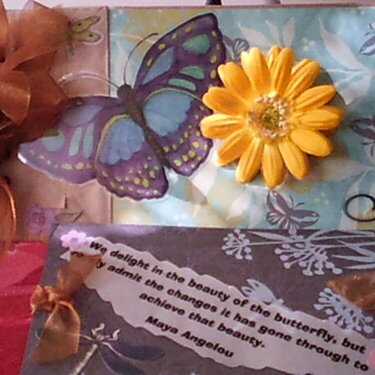 Butterfly Paper Bag album