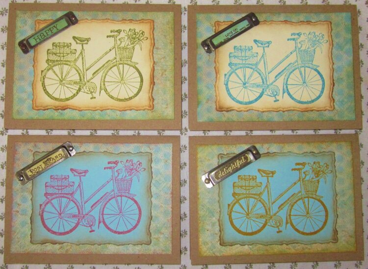 Bicycle Door Prize Set