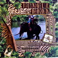 Jungle Book ~ Graphic 45 Tropical Travelogue Collection ~