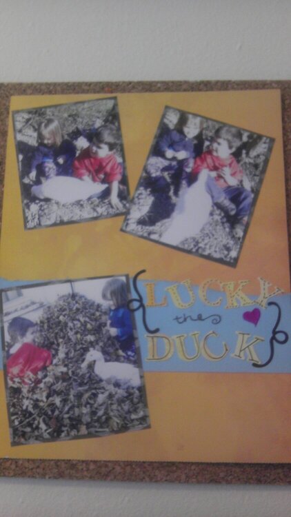 Lucky the duck