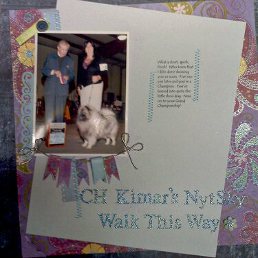 CH Kimar&#039;s NytSky Walk This Way
