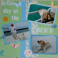 Bella at the Beach