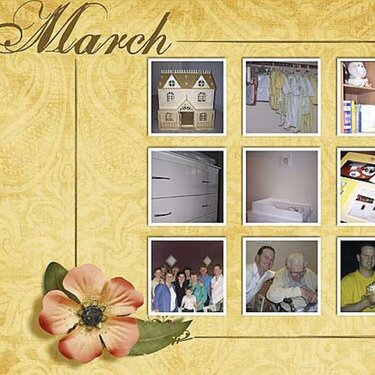 March Year in Review 2009