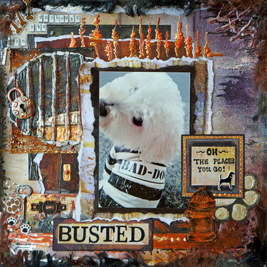 *** Scraps of Darkness *** - Bad Dog