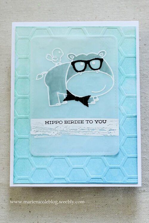 Hippo Birdie to You!