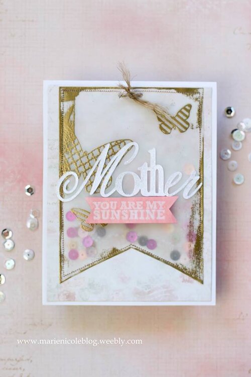 Mothers Day Shaker Card