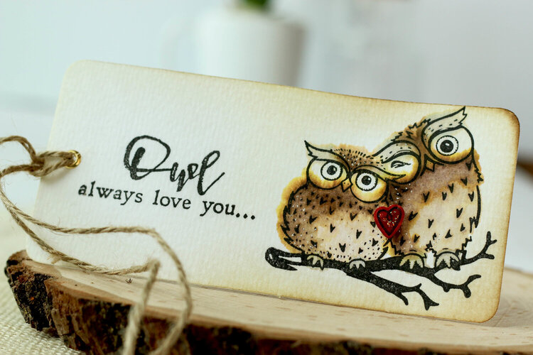 Owl Always Love You