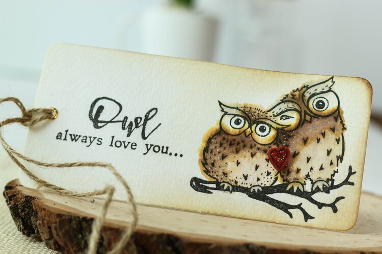 Watercolored Owl Tag