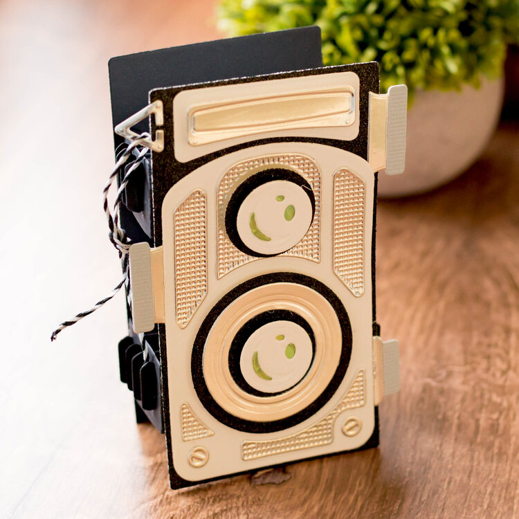 3D Mini Album- Vintage Twin Lens Camera