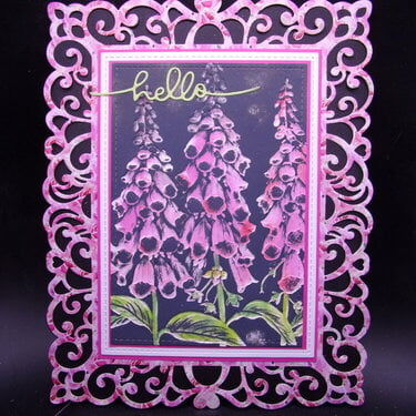 Lisa Horton Foxgloves and Ornamental Lattice Frame Die set