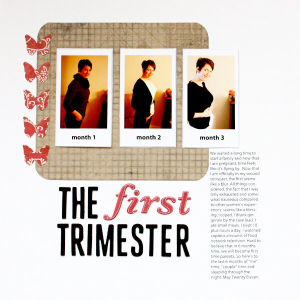 The First Trimester