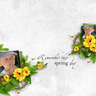 Welcome Spring by Rossi Designs