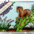 HORSE CARD