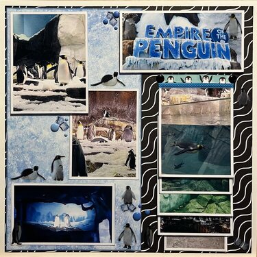 Penguins at SeaWorld