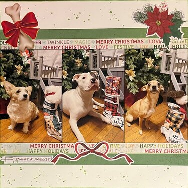 Doggie Christmas Models