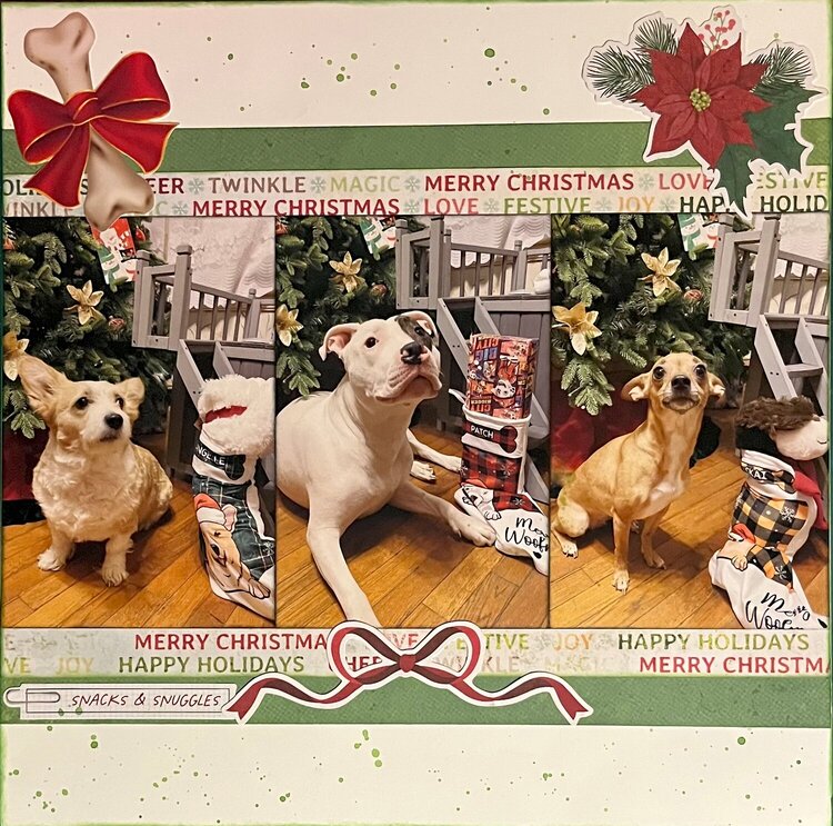 Doggie Christmas Models