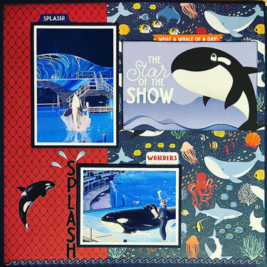 Orca Show