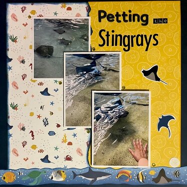 Stingrays