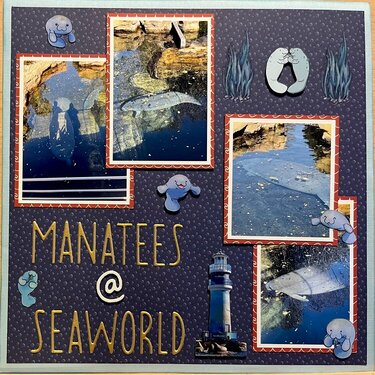 Manatees at SeaWorld