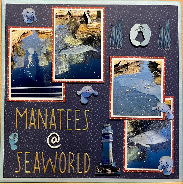 Manatees at SeaWorld
