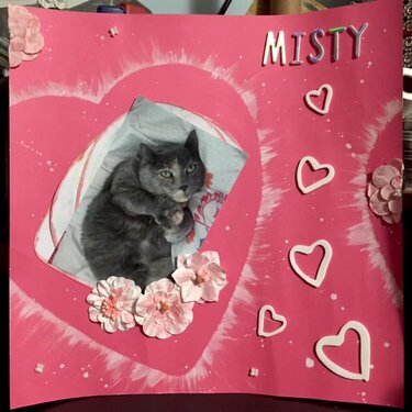 My kitty, Misty
