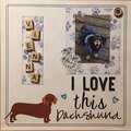 Dachshund Love