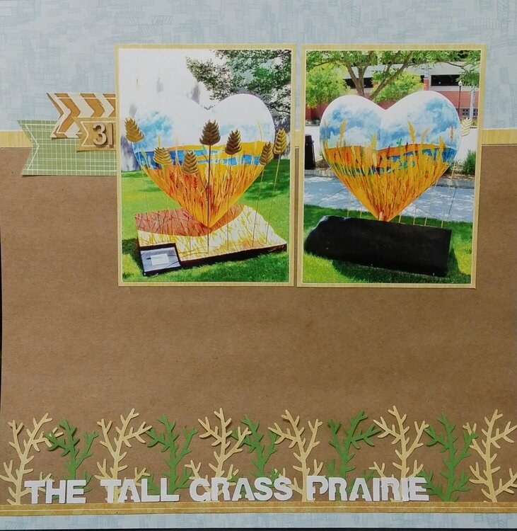 The Tall Grass Prairie