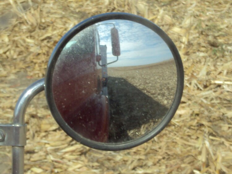 Side Mirror View (JFF)