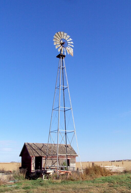 The Windmill and Playshed (JFF)