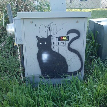 Grafitti Kitty (June POD #6)