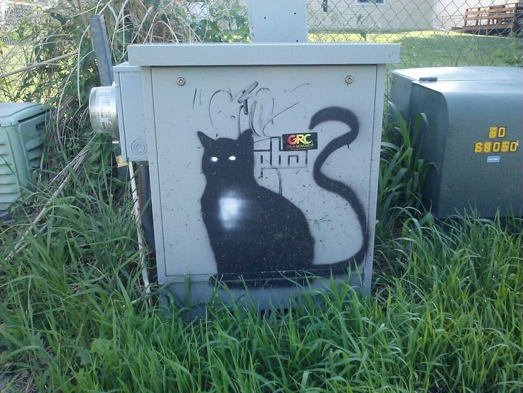 Grafitti Kitty (June POD #6)