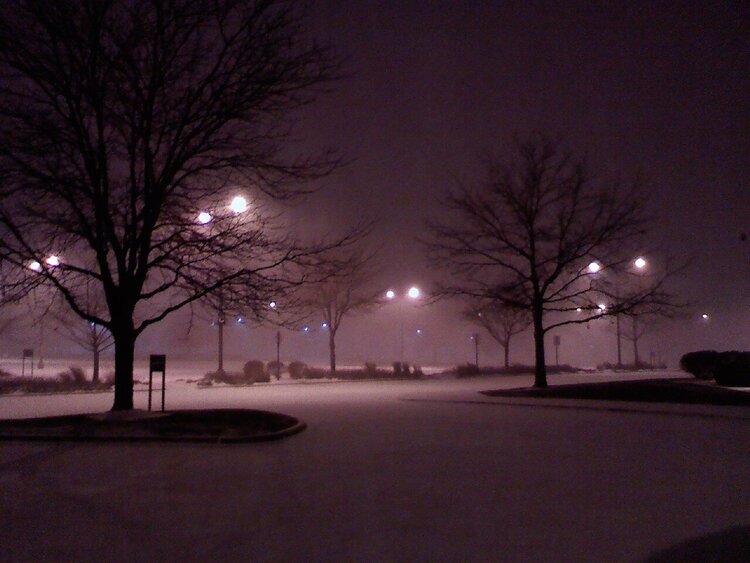 Snowy Night (POD6)