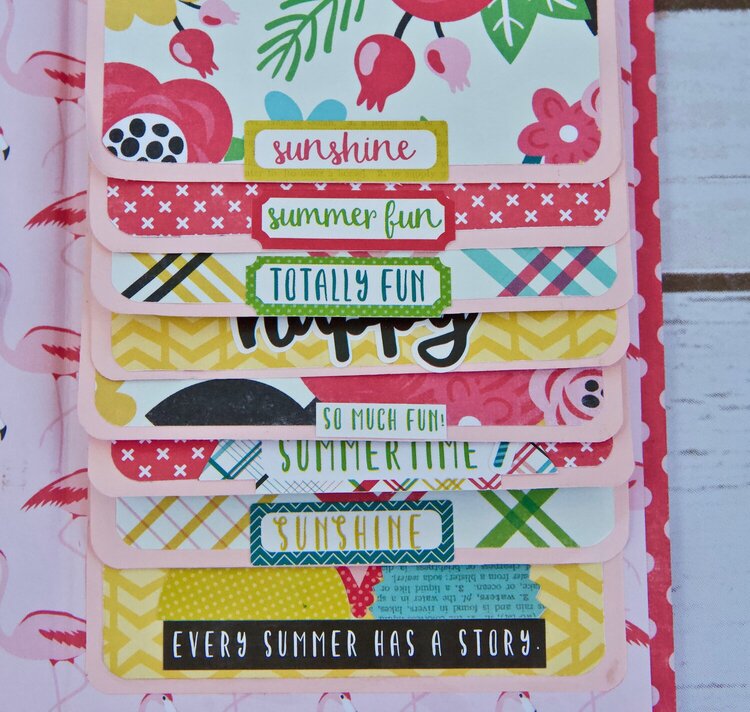 Summer Fun Mini Folio