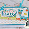 Hello Baby Boy Mini Album